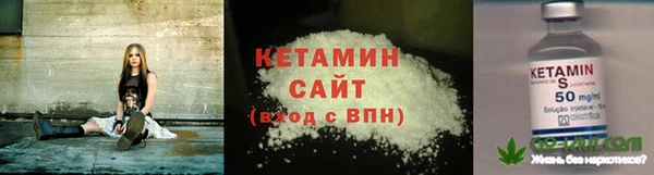 амф Дмитриев