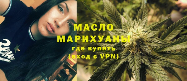 амф Дмитриев