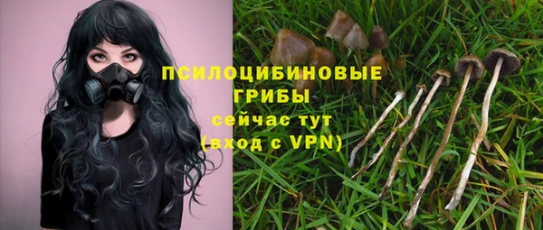 амф Дмитриев
