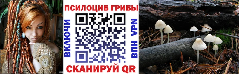 Галлюциногенные грибы мицелий  Купить где  Новокубанск 