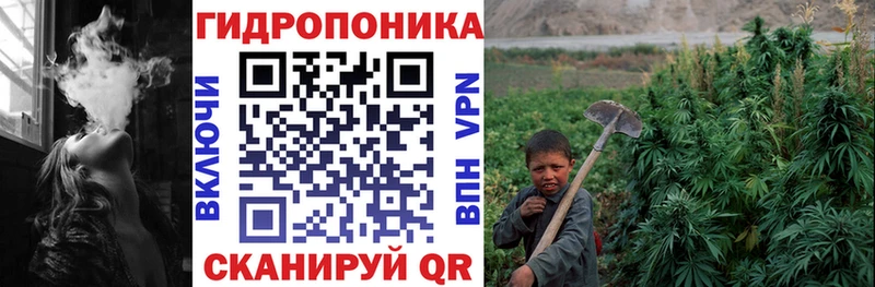 Канабис Bruce Banner Новокубанск